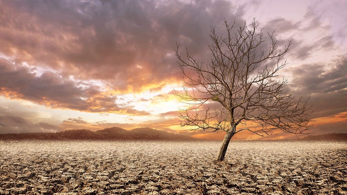 Azerbaycan'da Cop29 Zirvesi Öncesi İklim Değişikliği Uyarısı