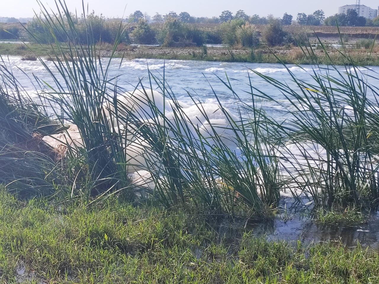 Dicle Nehri'nde Köpüklenme Olayı