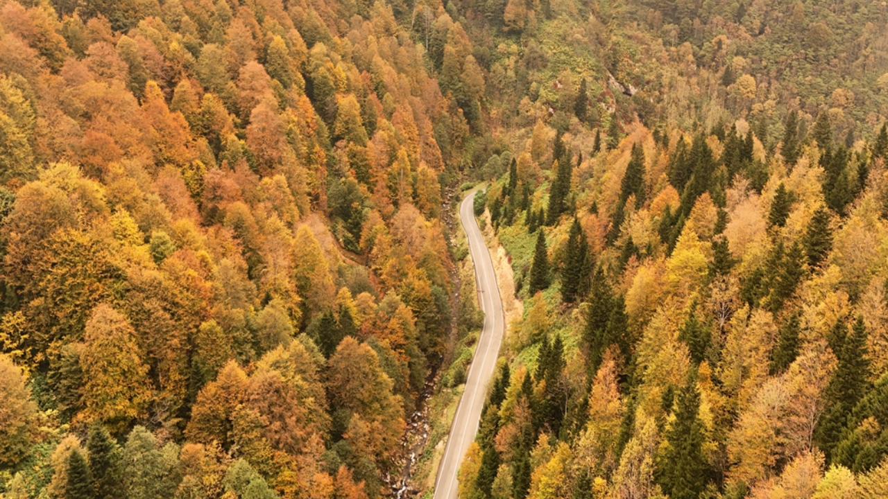 Doğu Karadeniz'in Sonbahar Güzellikleri