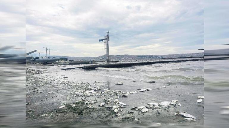 Dünya Meteoroloji Örgütü'nden Kuraklık Uyarısı