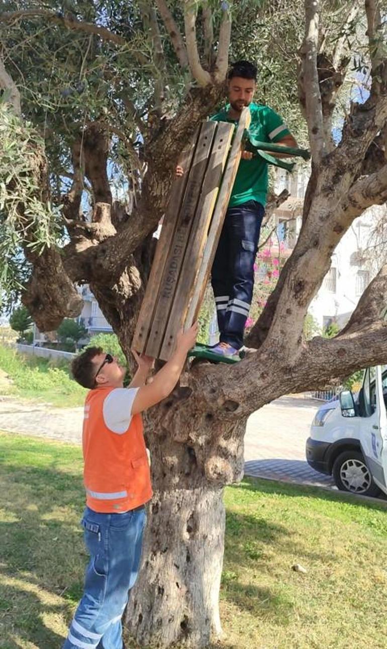 Kuşadası'nda Park Bakım Çalışmaları