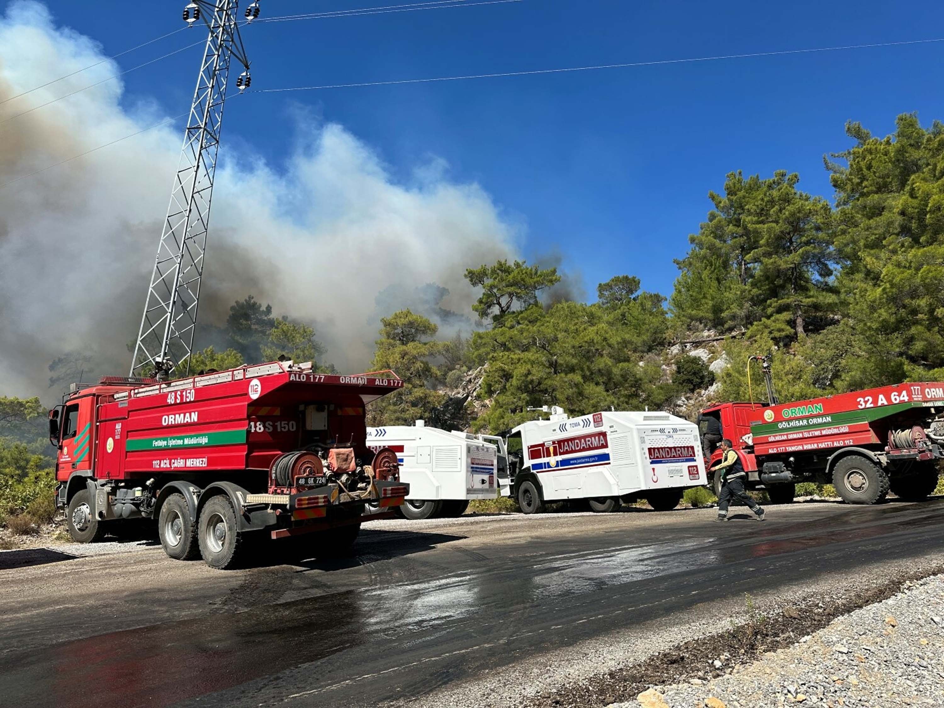 Muğla'da Orman Yangınları Devam Ediyor