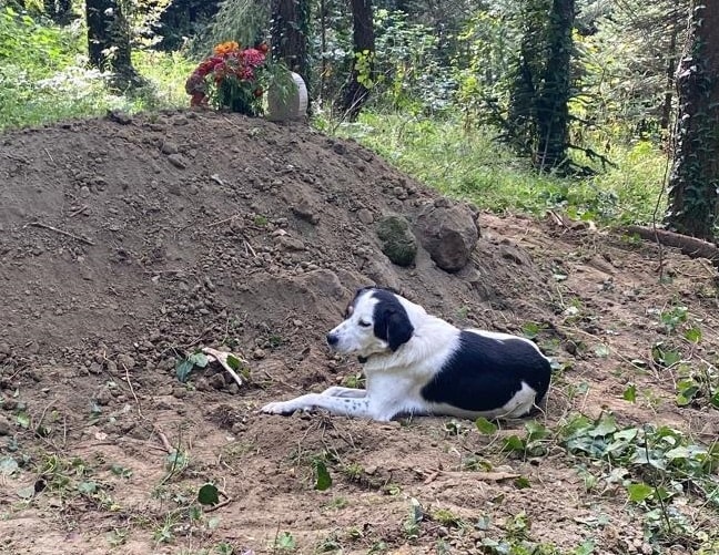 Ordu'da İngilizce Öğretmeni Devrim Kaynar'ın Cenazesinde Duygusal Anlar