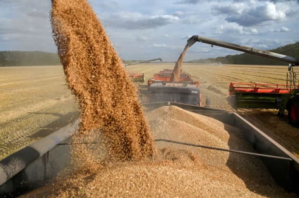 Sağlıklı Beslenmenin Gizli Hazineleri: Karabuğday, Amarant ve Teff