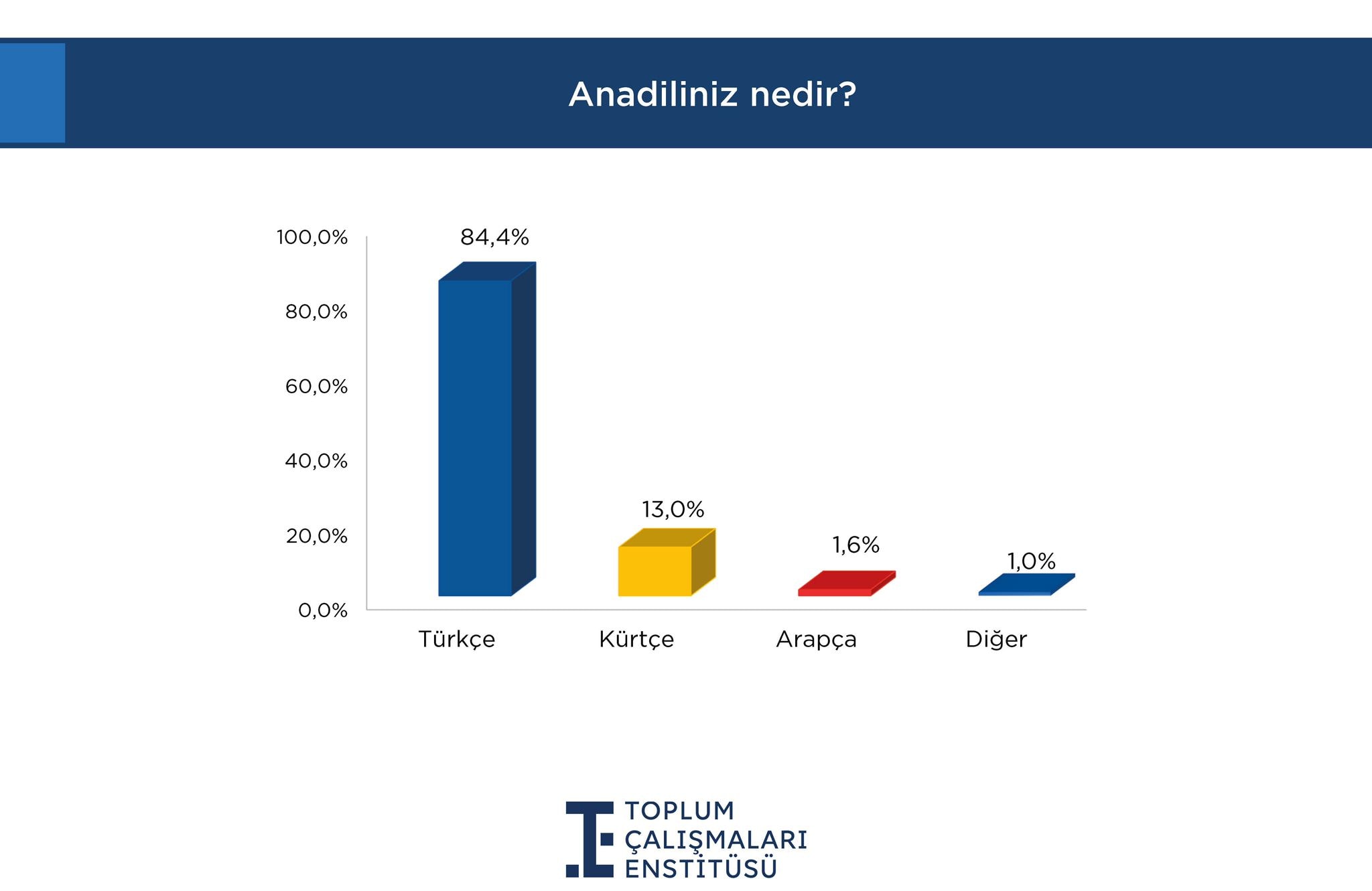 Toplum Çalışmaları Enstitüsü Anketi: MHP ve CHP'de Büyük Düşüş