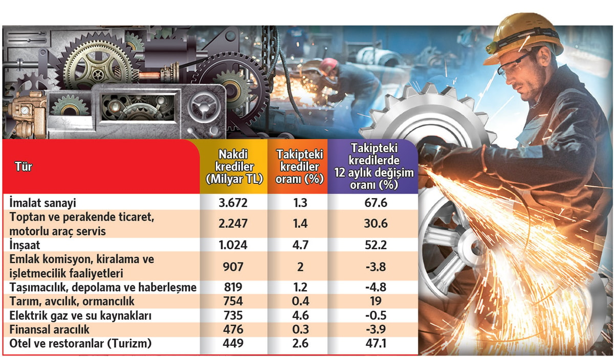 Türkiye'nin Ekonomik Durumu ve Sektörel Kredi Riskleri