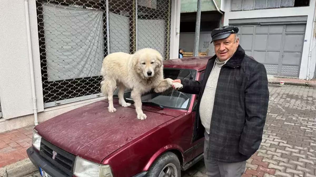 Bartın'da Davut Gül ve Binnaz'ın Sıra Dışı Dostluğu