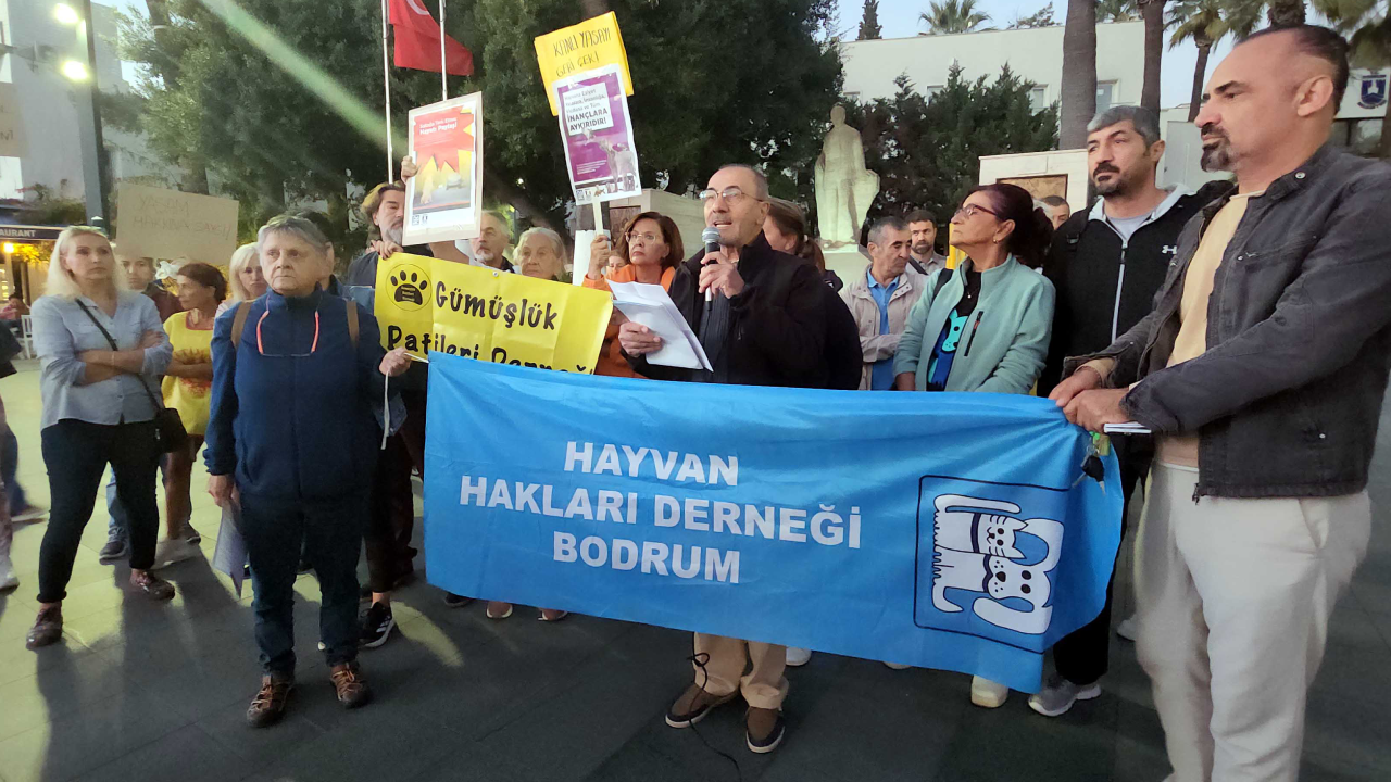 Bodrum'da Hayvan Hakları İçin Eylem