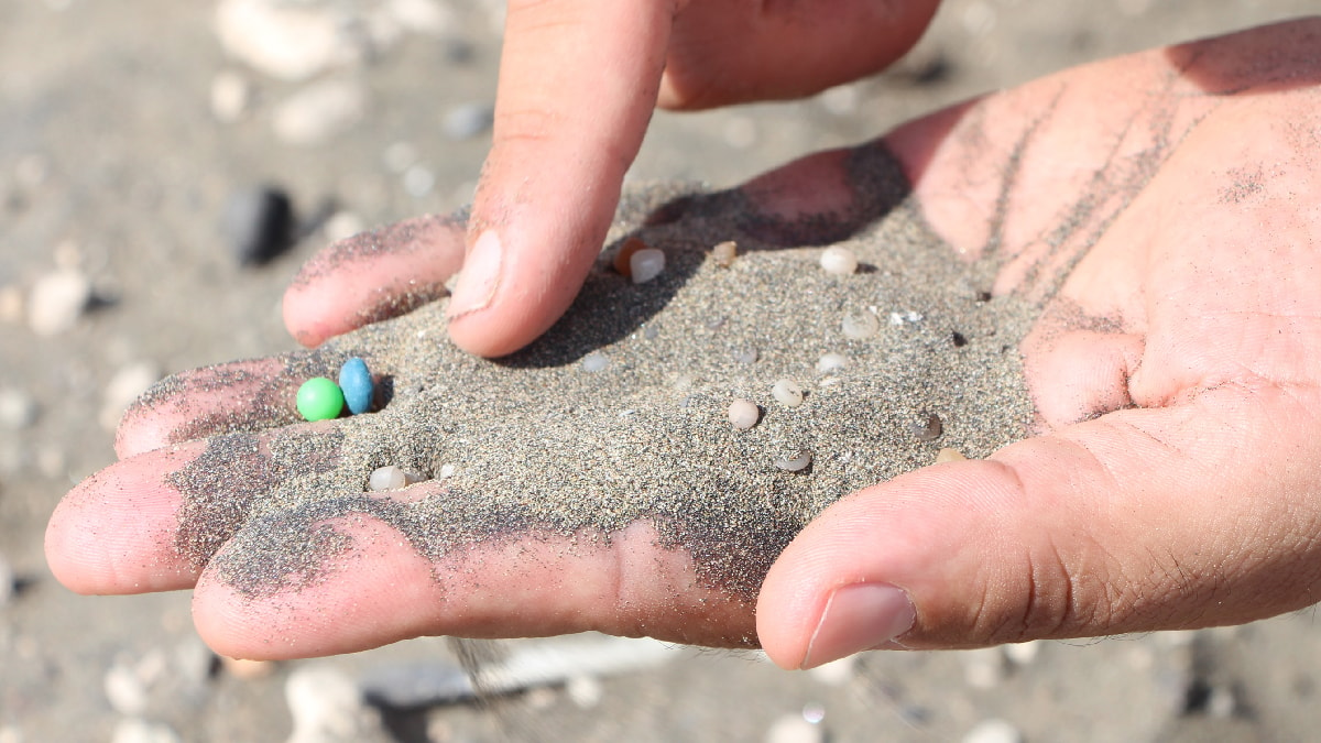 Çukurova Üniversitesi'nden Çarpıcı Mikroplastik Araştırması