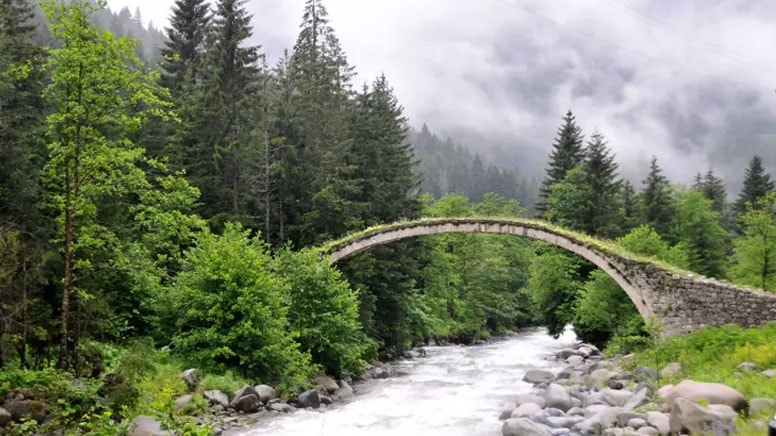 Doğu Karadeniz'de Sağanak Yağışlar ve İklim Değişikliği Etkileri