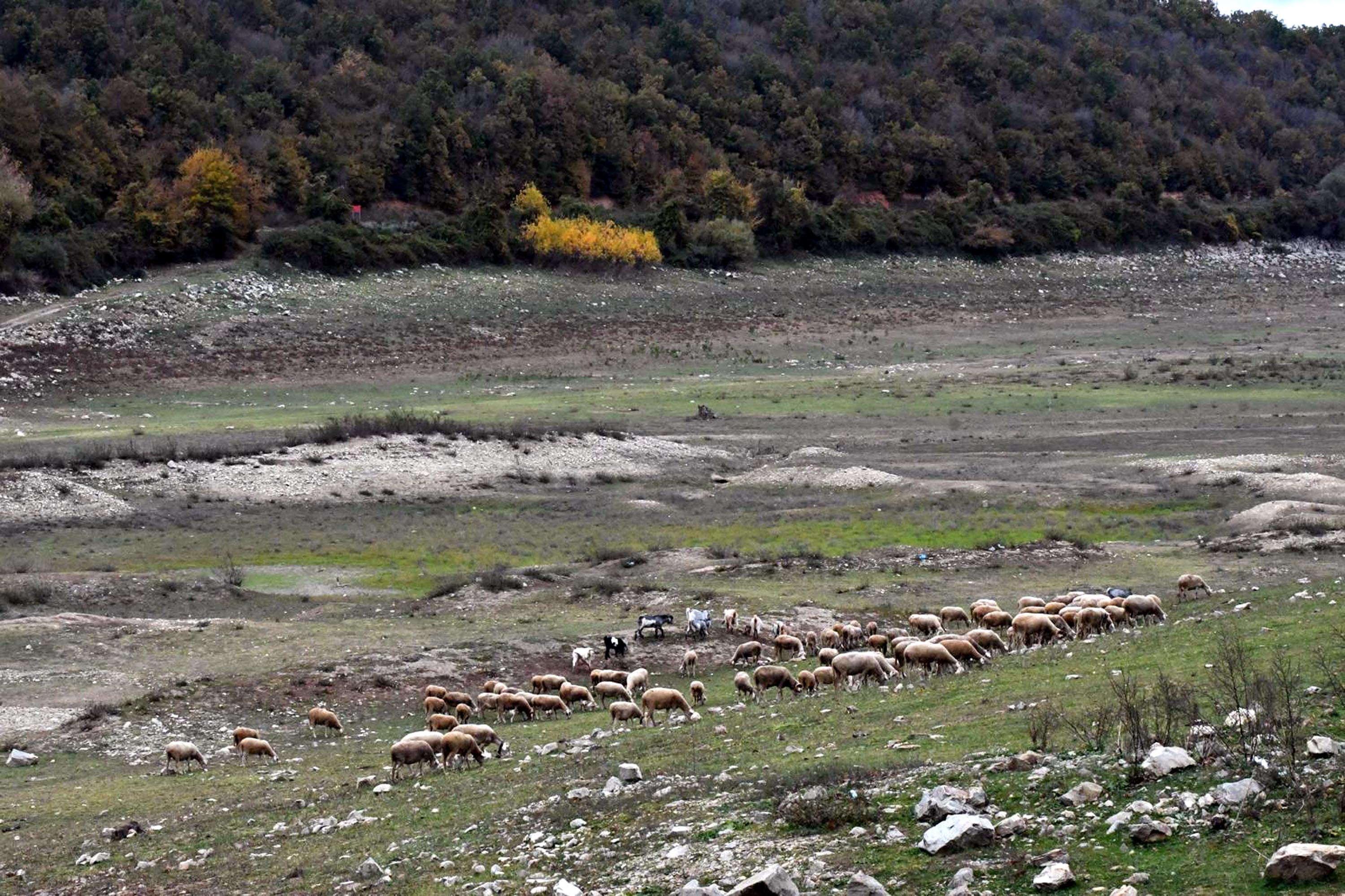 Barajlardaki Doluluk Oranları