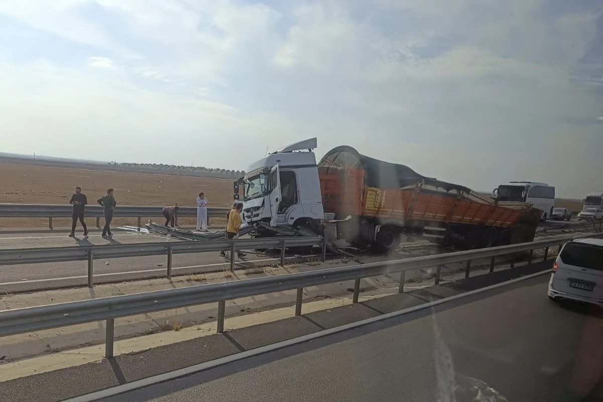 Mardin'de TIR Kazası: İki Büyükbaş Hayvan Hayatını Kaybetti