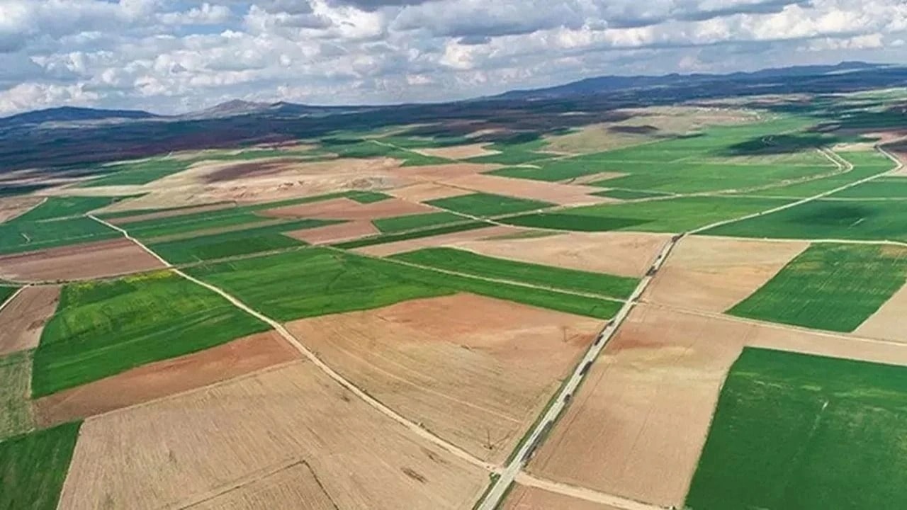 İnternet Üzerinden Satış Olacak mı?