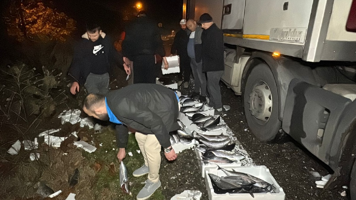 Trabzon'a Giden TIR Şoförünün Talihsiz Kazası