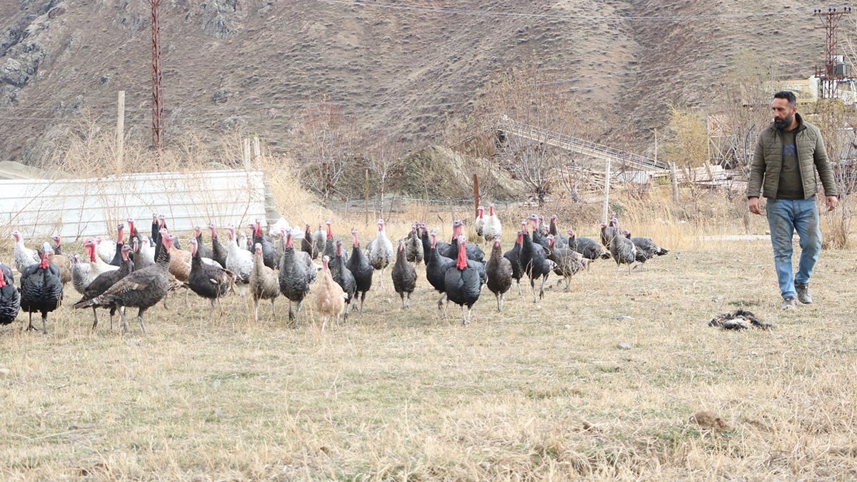 Yılbaşı Sofralarının Vazgeçilmezi: Hindiler